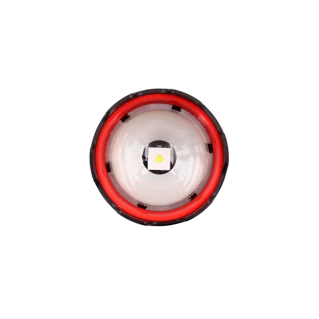LINTERNA SANDA CON 6 LED ROJOS