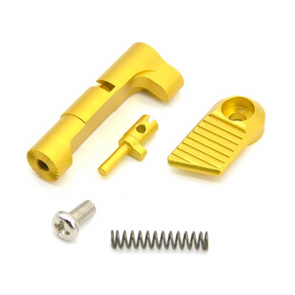 AIP MAGAZINE CATCH SET GOLD V2