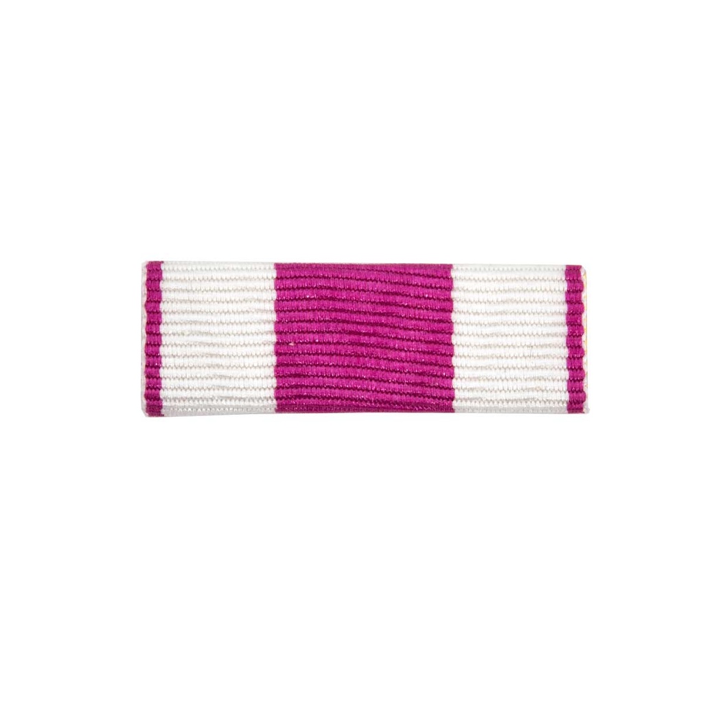 PASADOR MERITO SAN HERMENEGILDO FUCSIA-BLANCO